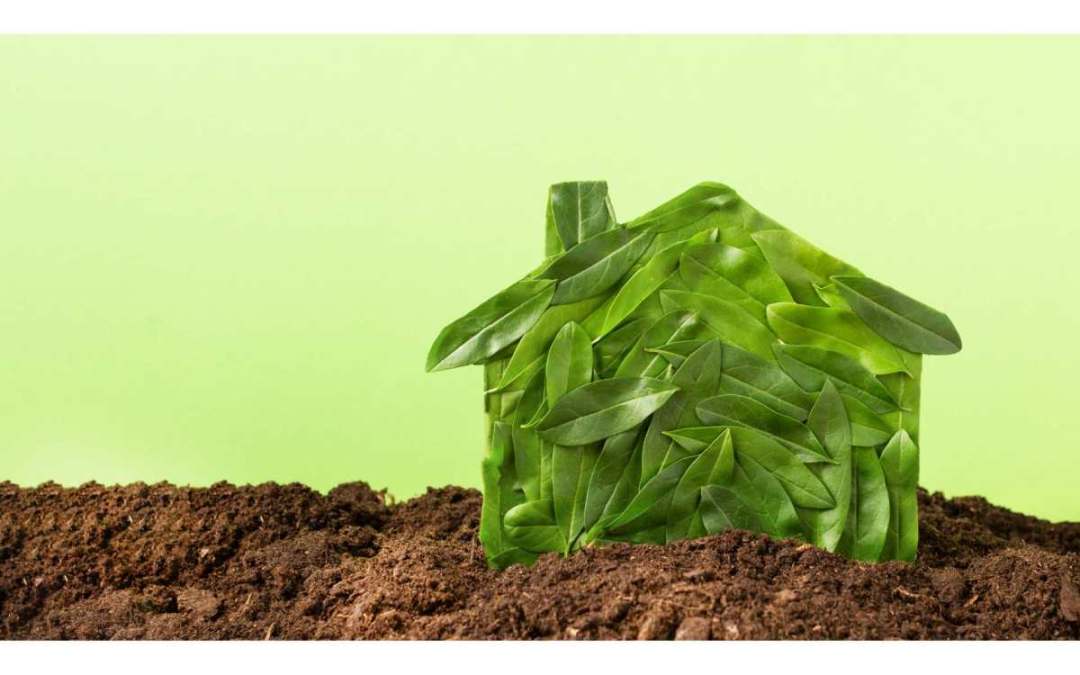 Crafting Your Green Dream: A Step-by-Step Guide to Constructing an Eco-Friendly Home